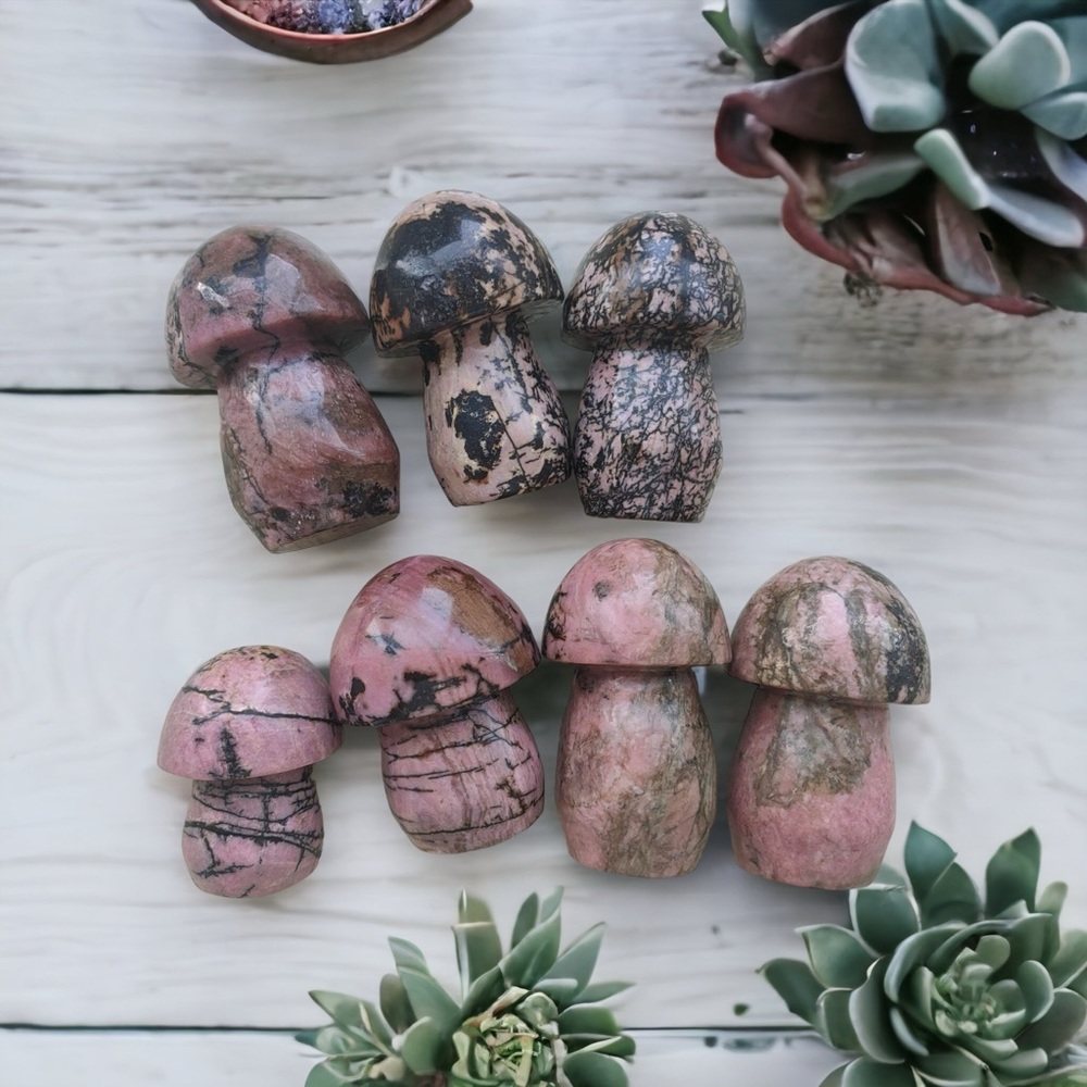 Rhodonite crystal mushroom